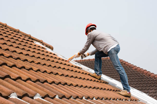 Best Gutter Installation and Repair  in West Hammond, NM